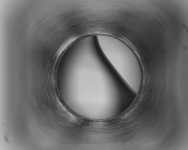 X0000099961293200805231017