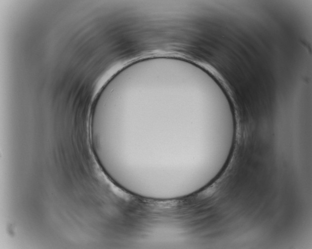 X0000099961294200805231017