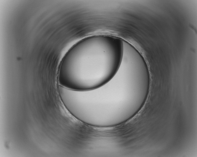 X0000099961296200805231017
