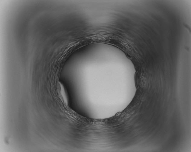 X0000099961297200805231016