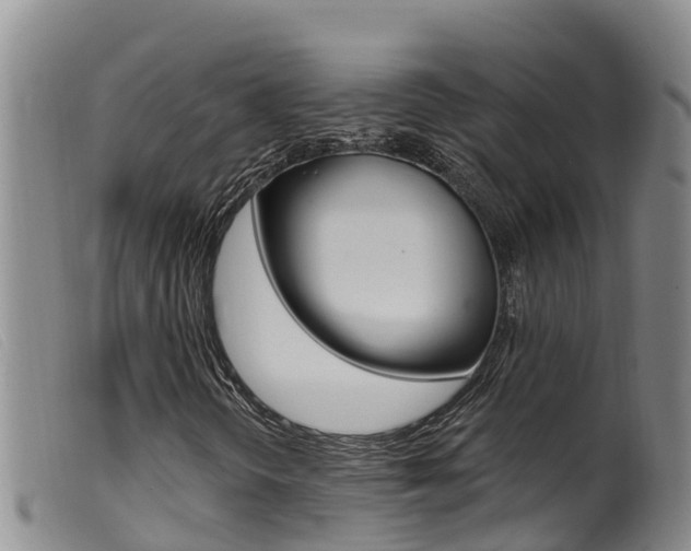 X0000099961298200805231016