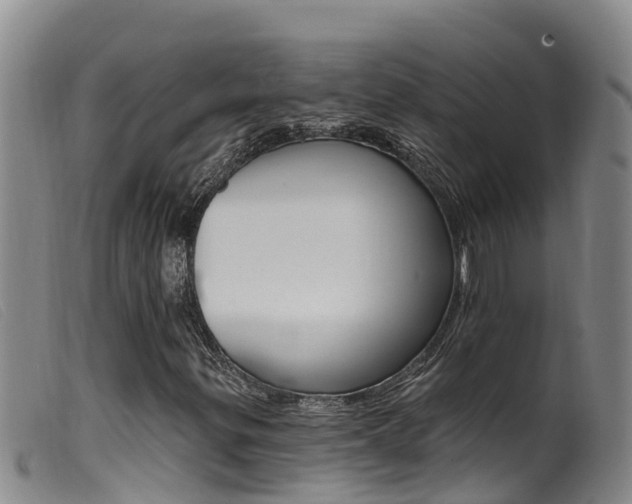 X0000099961299200805231016