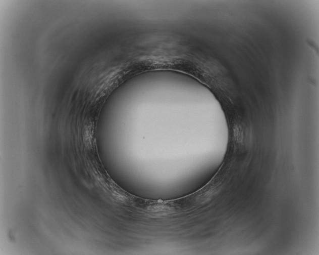X0000099961300200805231016