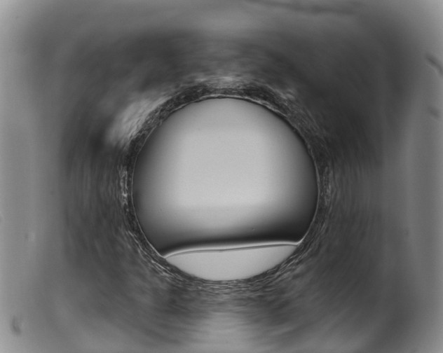 X0000099961301200805231016
