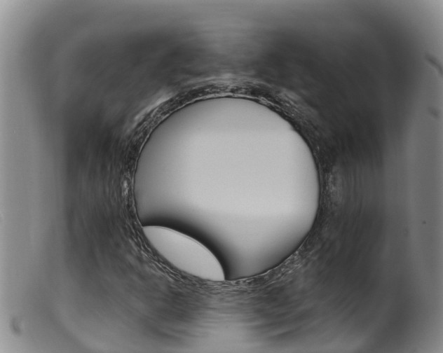 X0000099961302200805231016