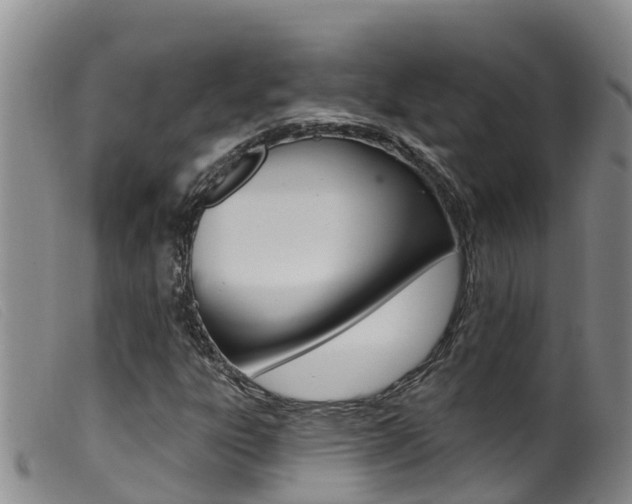 X0000099961303200805231016