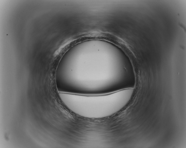X0000099961304200805231016