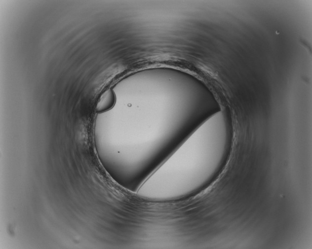 X0000099961305200805231016