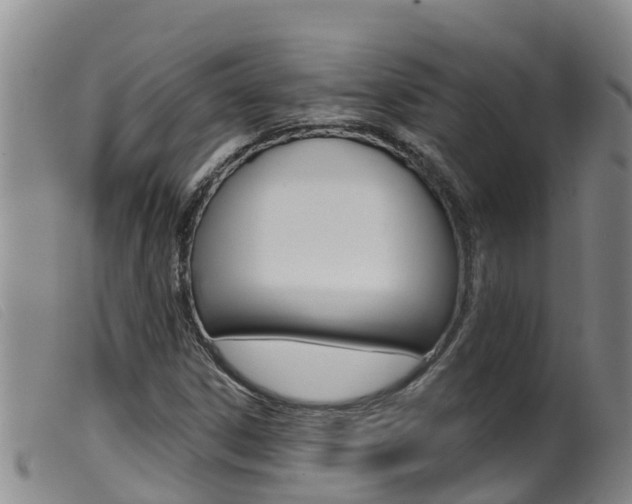 X0000099961306200805231016