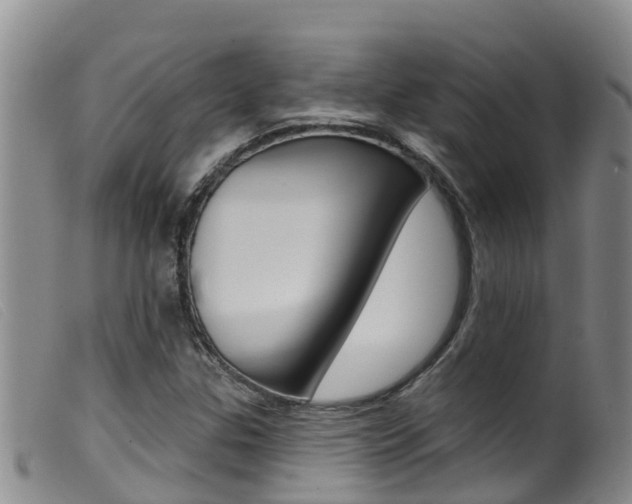 X0000099961307200805231016