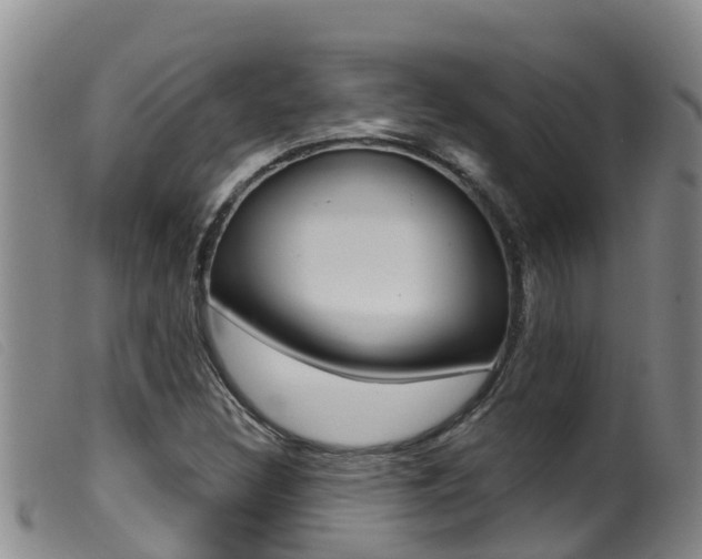 X0000099961308200805231016