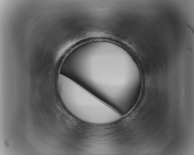 X0000099961311200805231016
