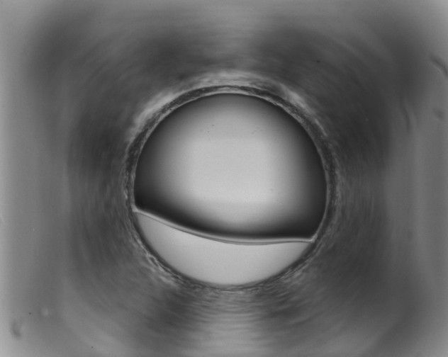 X0000099961312200805231016