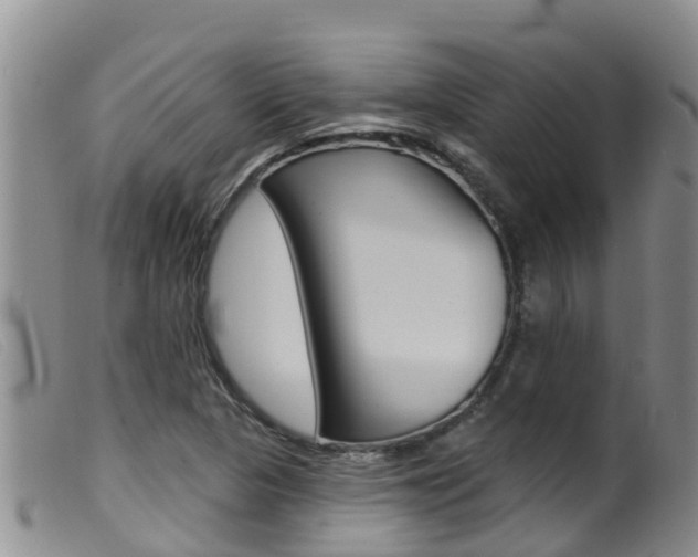 X0000099961313200805231016