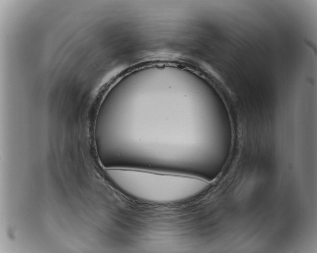 X0000099961315200805231016
