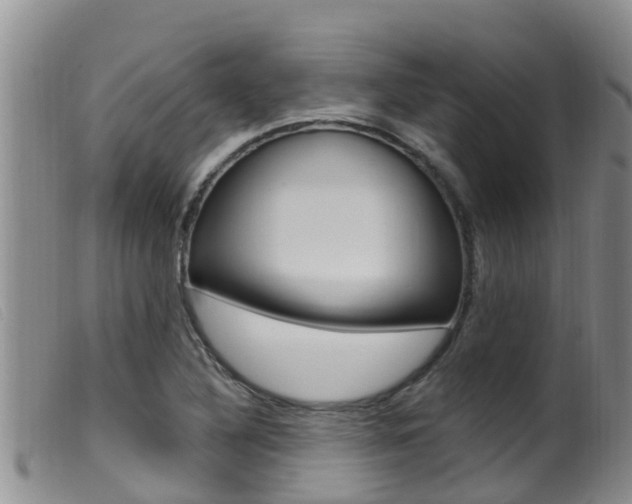X0000099961316200805231016