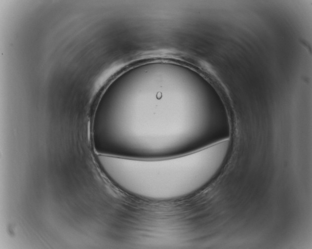 X0000099961320200805231016