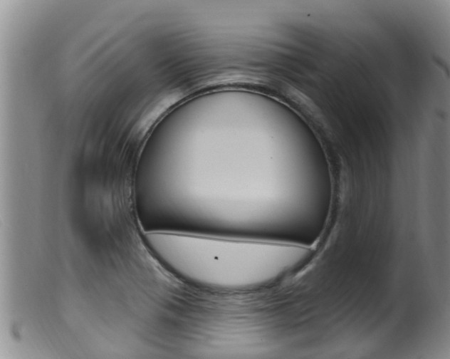 X0000099961321200805231016