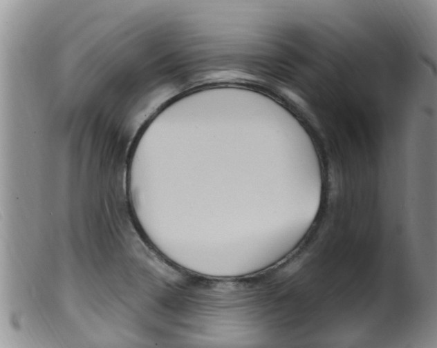 X0000099961322200805231017