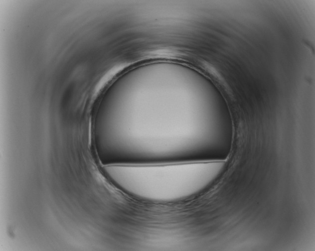 X0000099961323200805231017