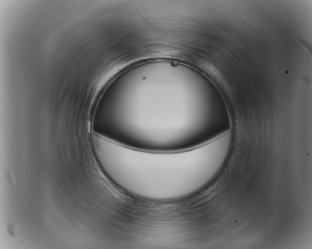 X0000099961324200805231017