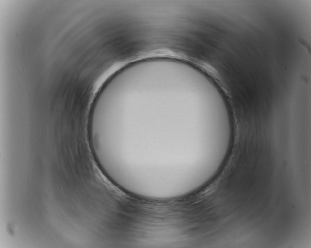 X0000099961326200805231017
