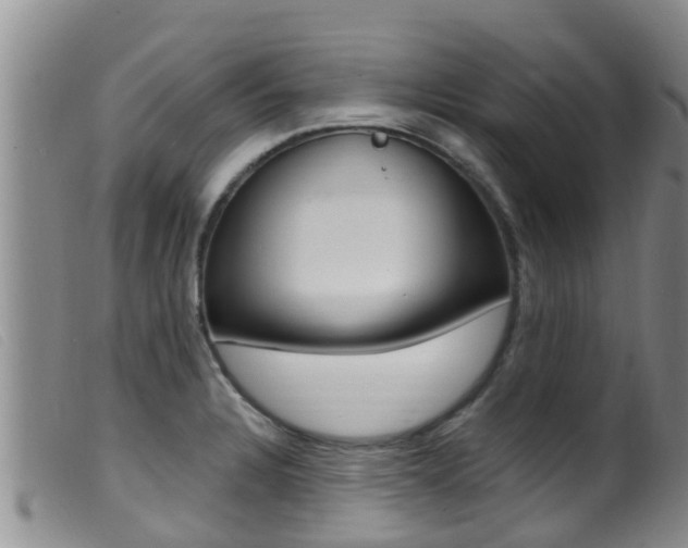X0000099961328200805231017
