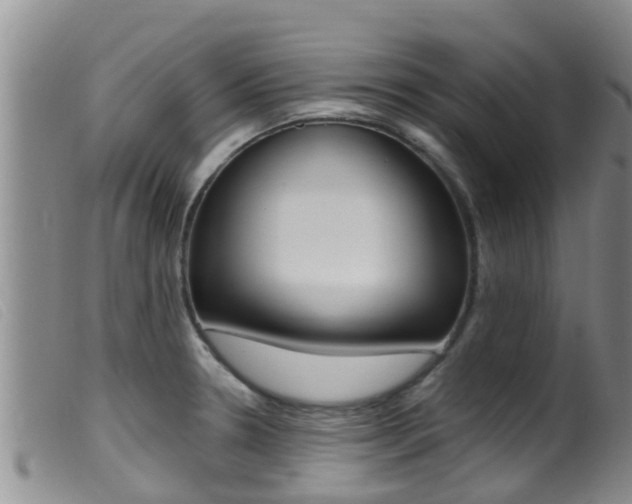 X0000099961330200805231017