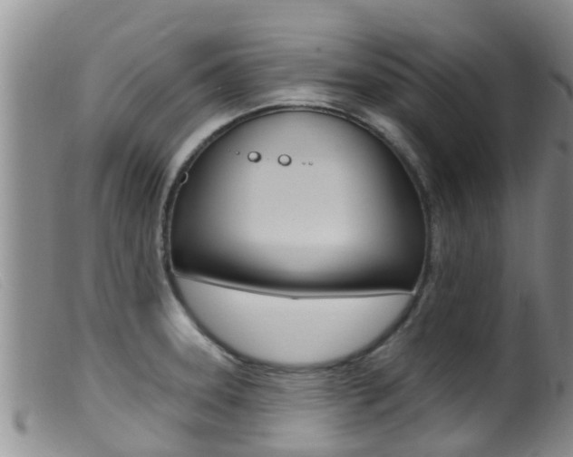 X0000099961331200805231017