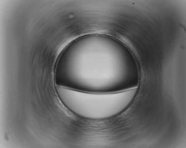 X0000099961332200805231017