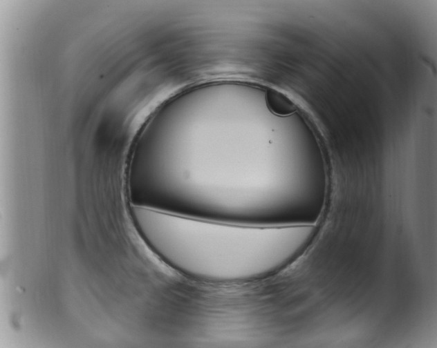 X0000099961333200805231017