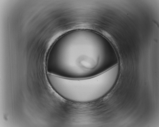 X0000099961334200805231017
