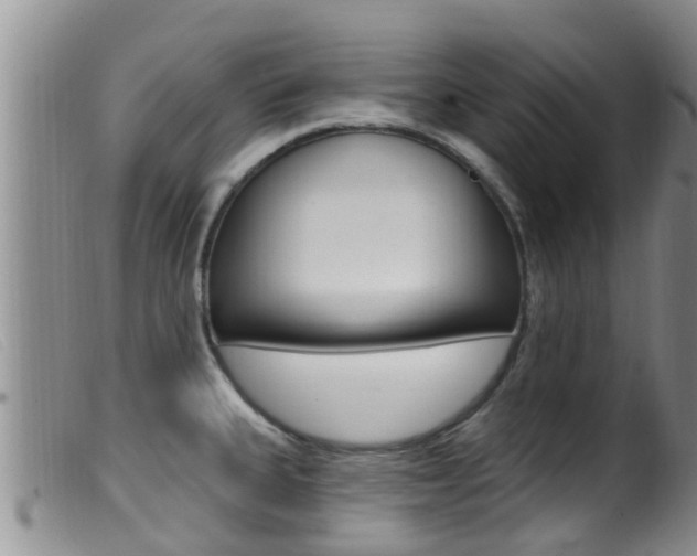 X0000099961335200805231017