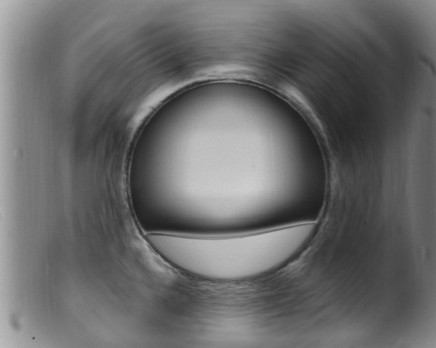 X0000099961336200805231017
