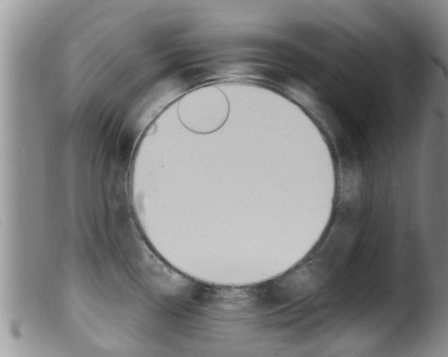 X0000099961338200805231017