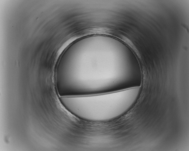 X0000099961339200805231017