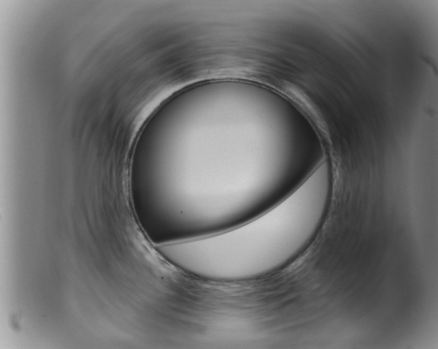 X0000099961340200805231017