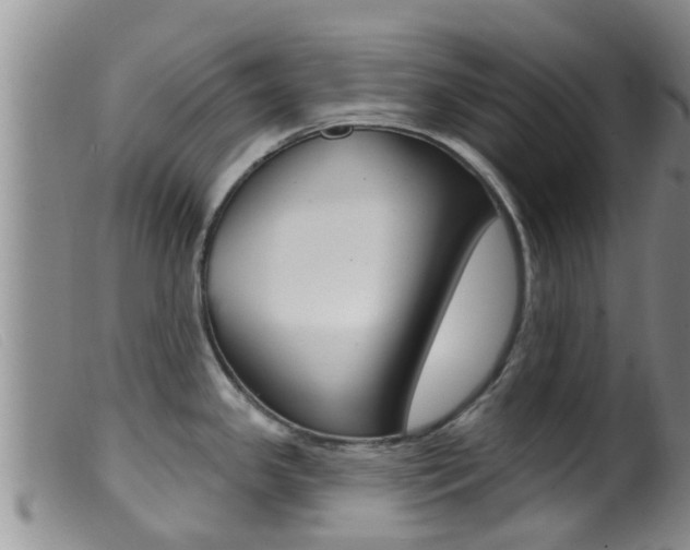 X0000099961341200805231017