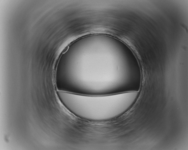 X0000099961342200805231017