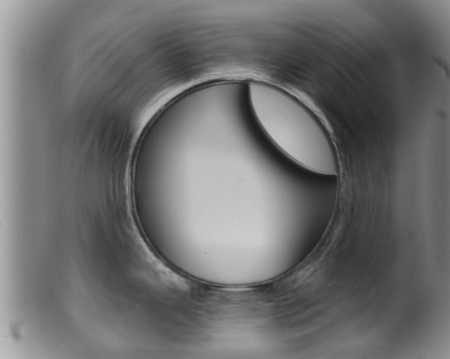 X0000099961343200805231017