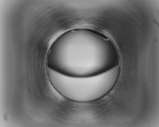 X0000099961344200805231017