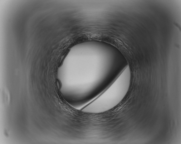 X0000099961345200805231016