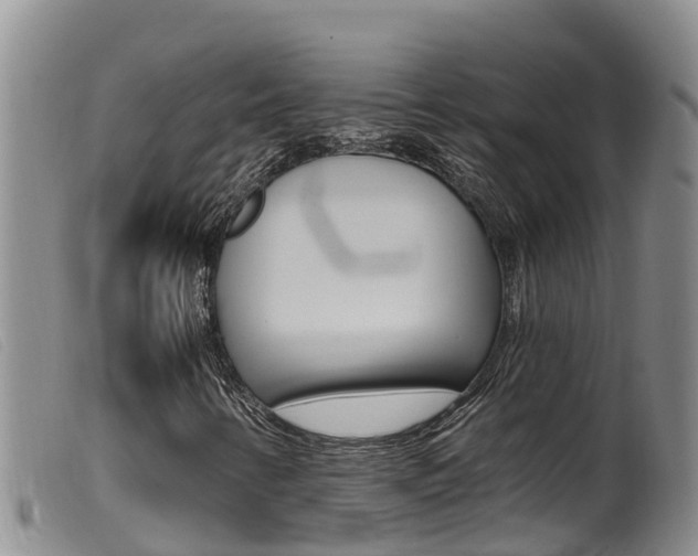 X0000099961346200805231016