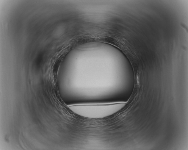 X0000099961347200805231016