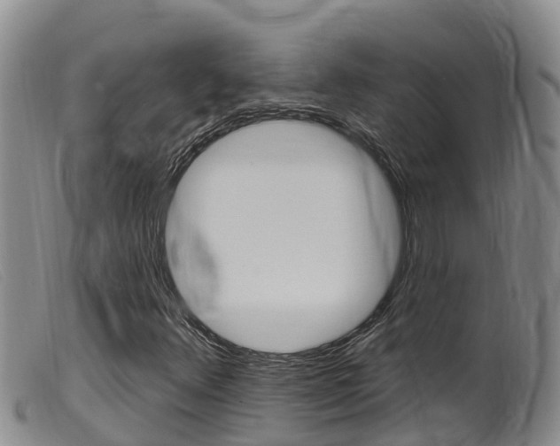 X0000099961348200805231016