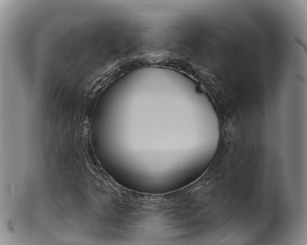 X0000099961349200805231016