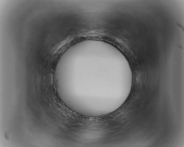 X0000099961350200805231016