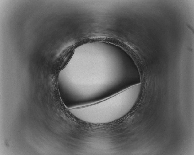 X0000099961351200805231016