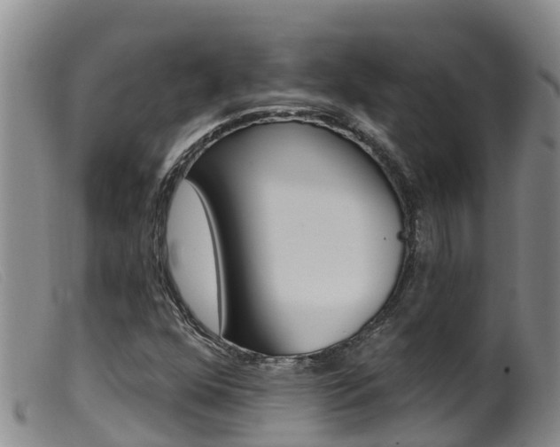 X0000099961352200805231016