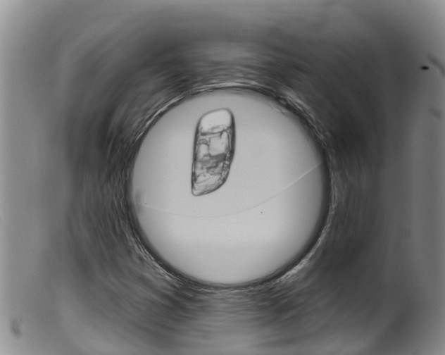 X0000099961353200805231016